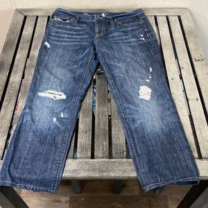 Ann Taylor Button Fly Size 10 Boyfriend Jeans